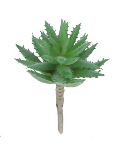 ALOE MACULATA VERDE (9751-09)