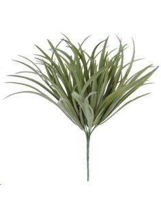 STRATIOTES VERDE (9759-09)