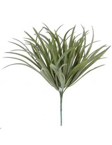 STRATIOTES VERDE (9759-09)