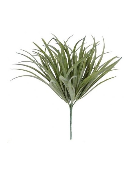 STRATIOTES VERDE (9759-09)