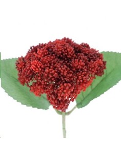 SEDUM ROJO (9755-08)