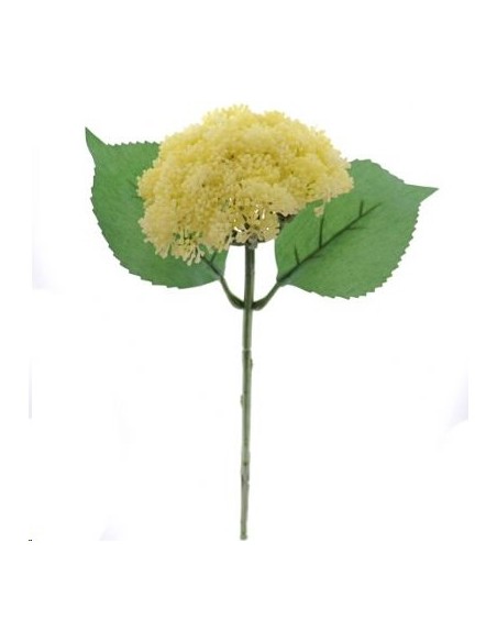 SEDUM CREMA (9755-01)