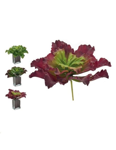 PLANTA HOJAS ONDULADAS GRANDE 3 COL SURT