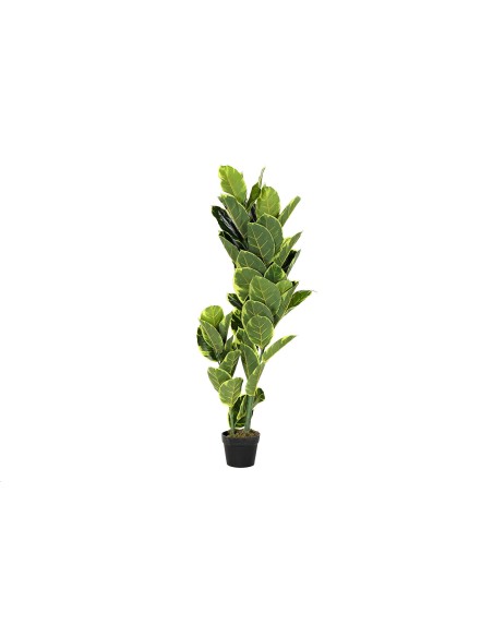 PLANTA PE 50X50X120 DRACENA VERDE