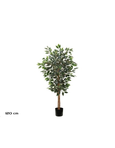 ARBOL FICUS T/NATURAL -150 CM