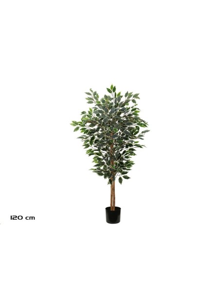 ARBOL FICUS T/NATURAL -150 CM