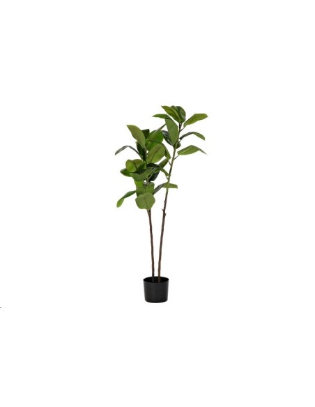 PLANTA PE 30X30X139 VERDE