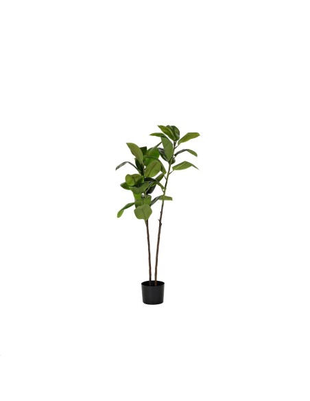 PLANTA PE 40X40X150 MAGNOLIO VERDE
