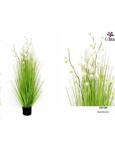 MACETA GRASS POMPON 122 CMTS