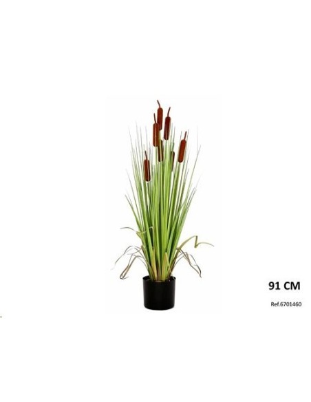 MACETA GRASS ESPADAÑA 91H