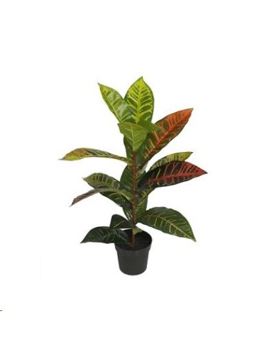 MACETA CROTON X 15-55 CM