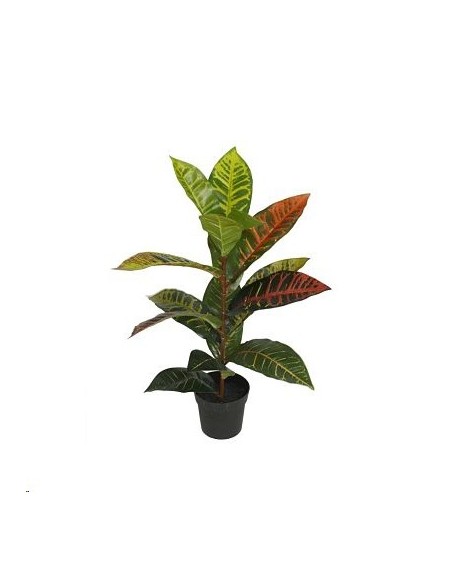 MACETA CROTON X 15-55 CM