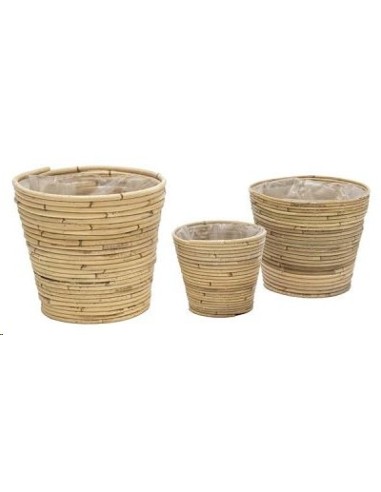 COLIN PLANTER NATURAL S3 D16/26H15/21