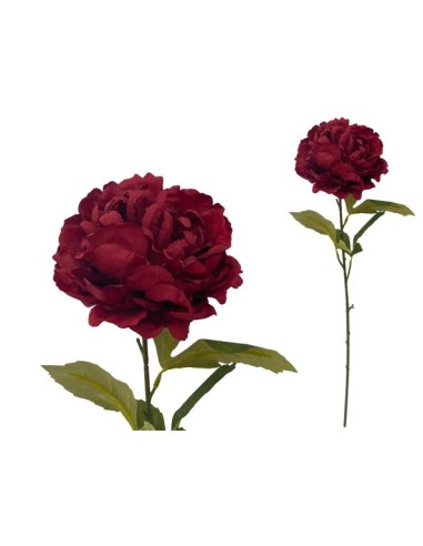 VARA PEONIA (A) -80CM (ROJO)
