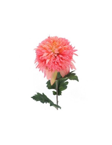 SNOWBALL MUM SALMON (2093-14