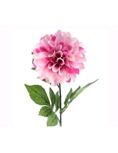 DAHLIA LILA (2652-25)