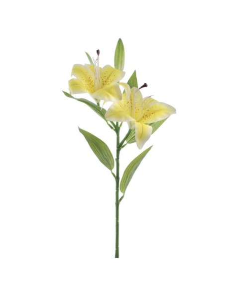 LILIUM X 2 (T.N.) (3073-02)