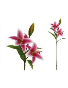 VARA LILIUM REAL TOUCH X 3-77CM