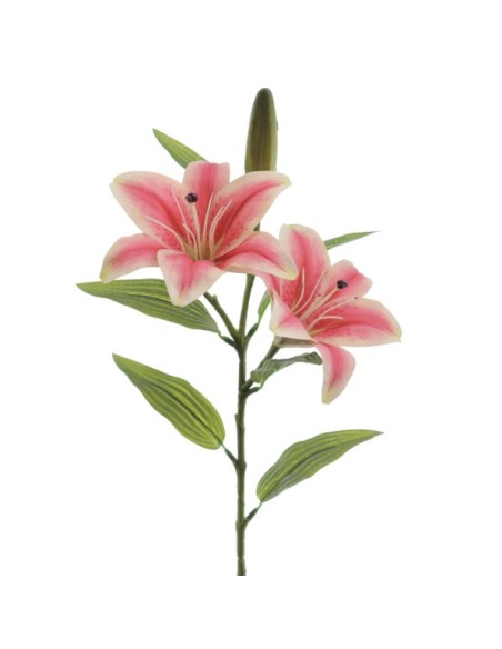 LILIUM X 2 (T.N.) (3073-07)
