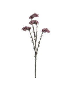 STATIS 64 CMS (6961-16)