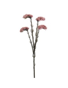 STATIS 64 CMS (6961-12)