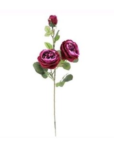 ROSA TUDOR X 3 (9535-16)