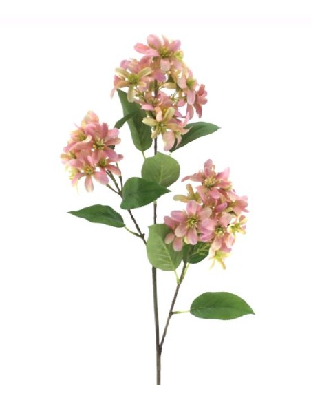 HYDRANGEA X 3 (2665-12)