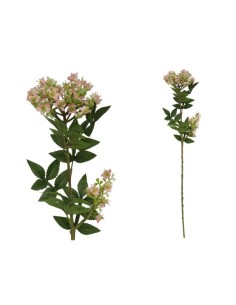 VARA MYOSOTIS 60 CM (ROSA)