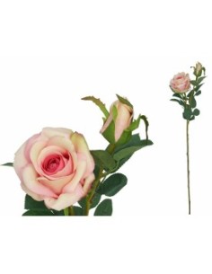 VARA ROSA X2 R/TOUCH 65 CM RO