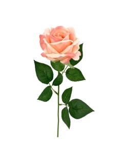 ROSAX1 POLIEST.SALMON 56cm(8c