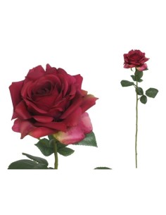 VARA ROSA ORLY 70 CM VIOLETA