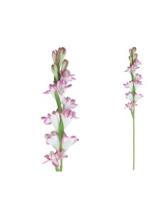 VARA NARDO -60CM (VIOLETA)