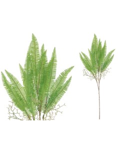 VARA HELECHO X 5 - 81 CM (VERDE)