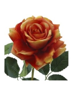 ROSA "VELVET" 77CMS-& NARANJA