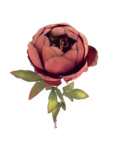 PEONIA BURDEOS (2033-17)