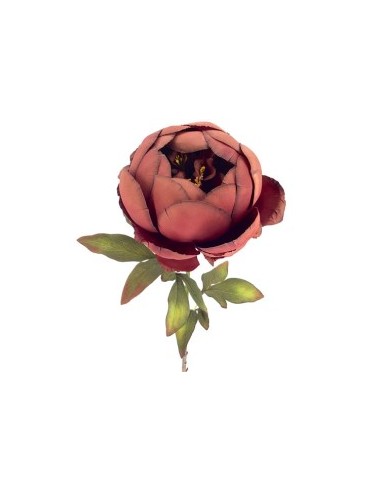 PEONIA BURDEOS (2033-17)