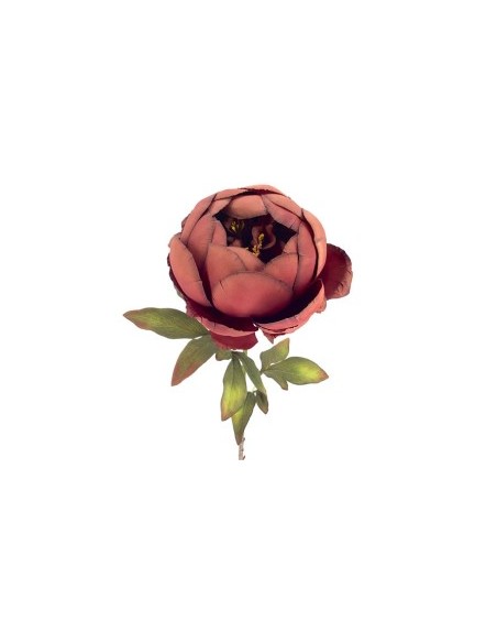 PEONIA BURDEOS (2033-17)