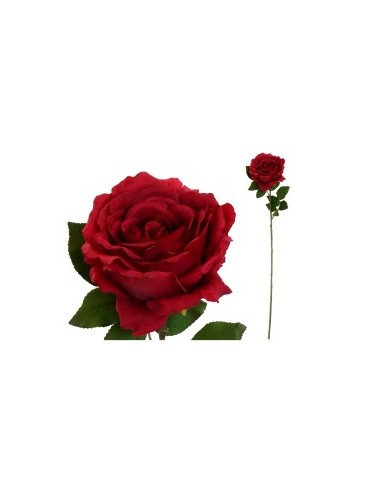 VARA ROSA CAROLINA (A) -67 CM