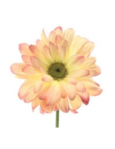 GERBERA SALMON (2293-14)
