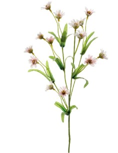 MARGARITA MINI (2671-12)