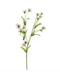 MARGARITA MINI (2671-11)