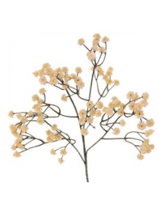 GYPSO VINTAGE (6104-31)