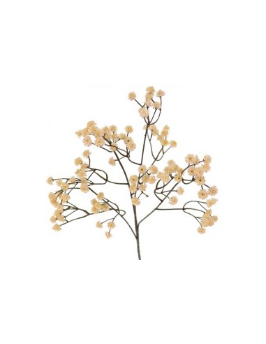 GYPSO VINTAGE (6104-31)