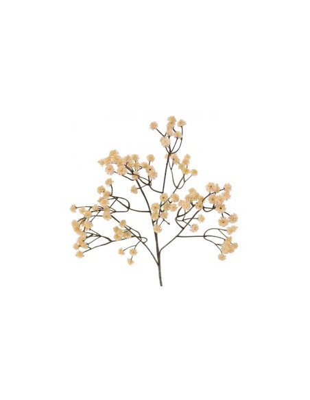 GYPSO VINTAGE (6104-31)