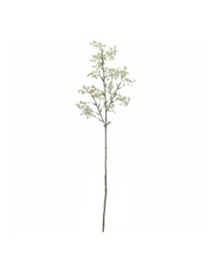 GYPSOPHILA (6100-01)