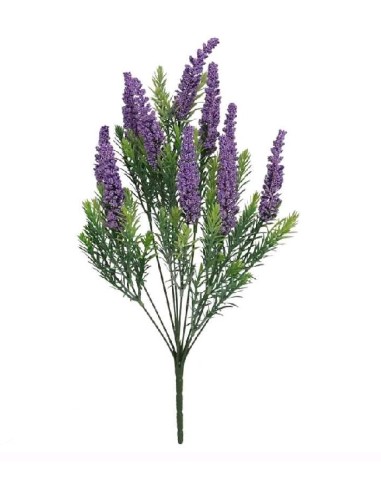 RAMO FOXTAIL X 10 -45CM  (VIOLETA)