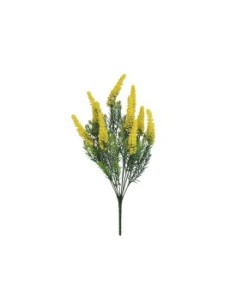 RAMO FOXTAIL X 10 -45CM  (AMAR