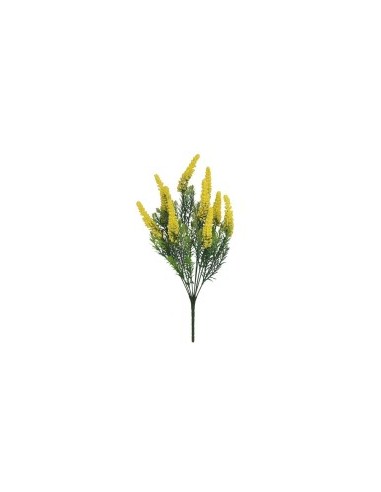 RAMO FOXTAIL X 10 -45CM  (AMAR