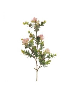 EUCALYPTUS SILVESTRE MIX ALOE (9