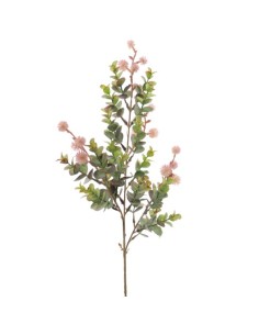 EUCALYPTUS SILVESTRE MIX (9578-06